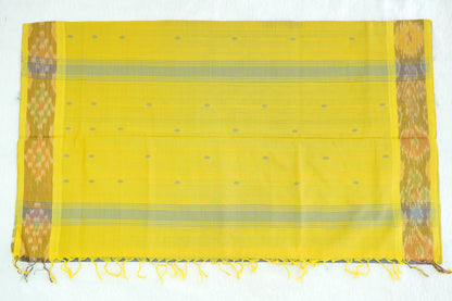 Ikkat Border Cotton Saree