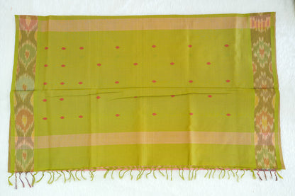 Ikkat Border Cotton Saree