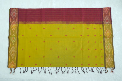 Ikkat Border Handloom Cotton Saree