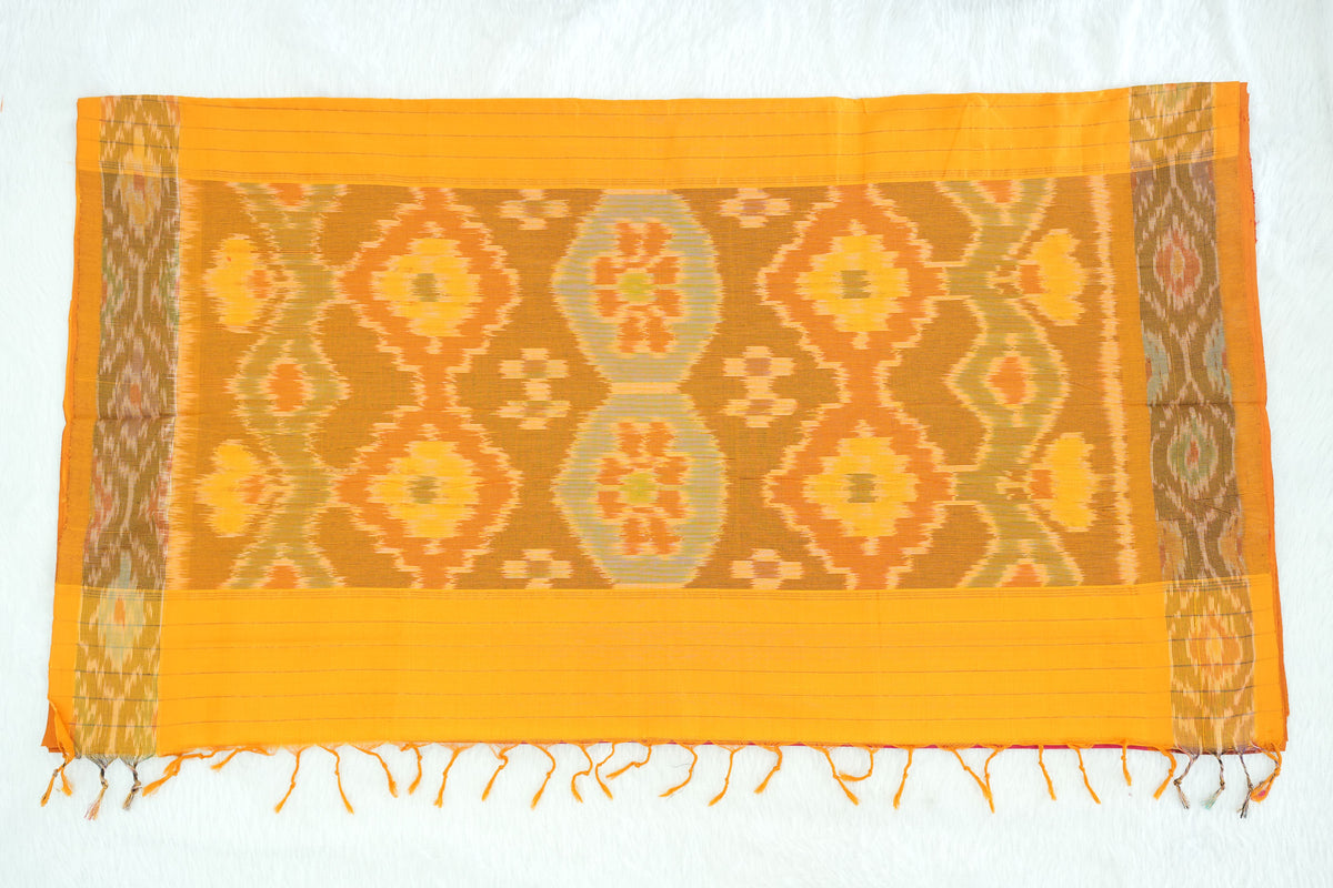 Ikkat Border Handloom Cotton Saree