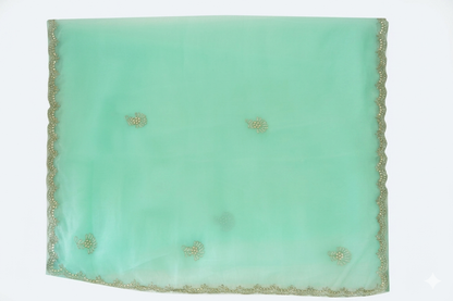 Party Wear Organza Saree