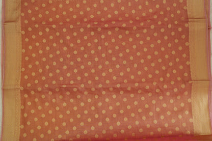 Tissue Saree
