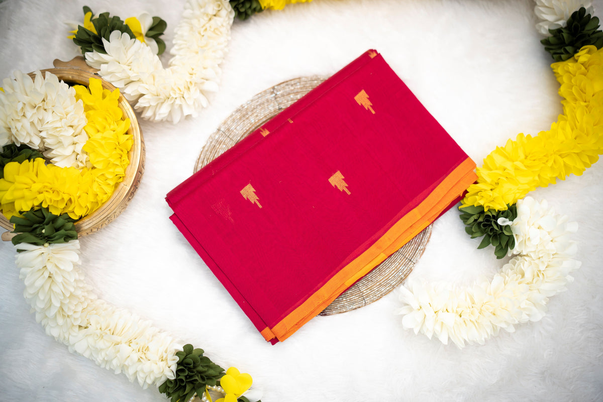 Venkatagiri Silk Cotton Saree