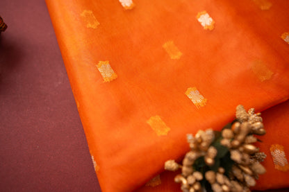 Orange Semi Kora Banarasi Organza Saree