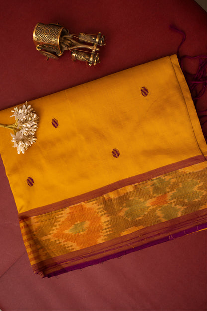 Ikkat Border Handloom Cotton Saree