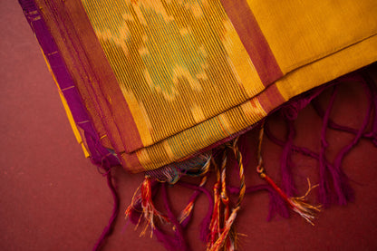 Ikkat Border Handloom Cotton Saree