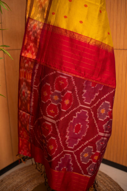 Ikkat Border Handloom Cotton Saree