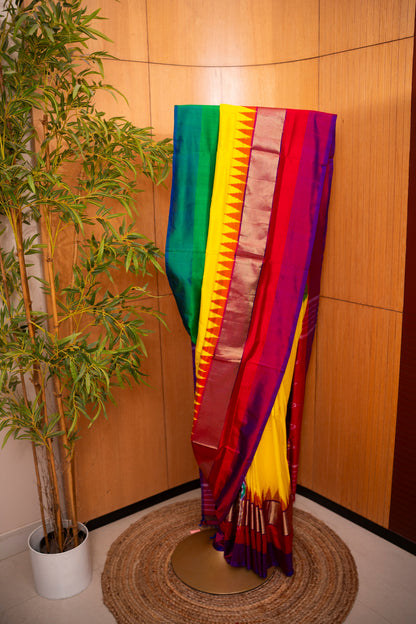 Pure Silk Pchampalli Saree with Ganga Jamuna Border